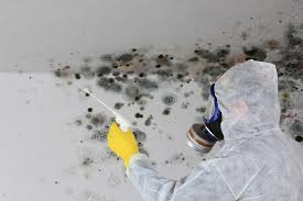 Best Asbestos and Lead Testing During Mold Inspection  in Logan, IA